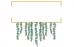 carbon free dining certified restaurant the natural philosopher logo 4